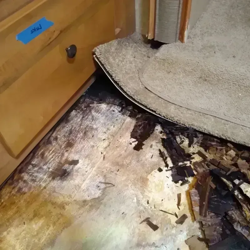 Wood Floor Water Damage in Indian River County, FL